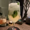 Review photo of Gin Gin Mule